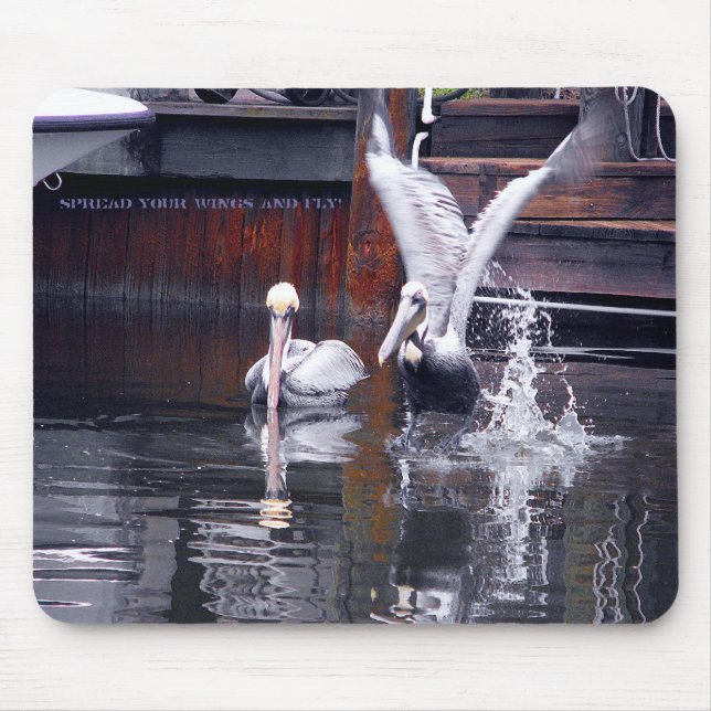 Mousepad Desativação Pelicana (Frente)