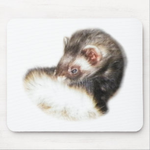 Mousepad Desativar Imagem de Ferret