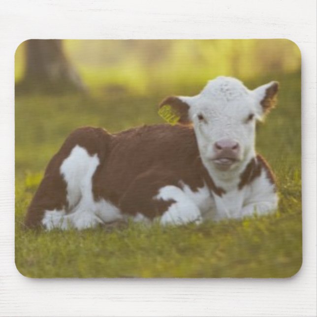 Mousepad Descanso da vitela (Frente)