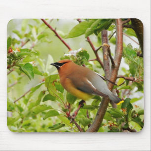 Mousepad Descanso de Cedar