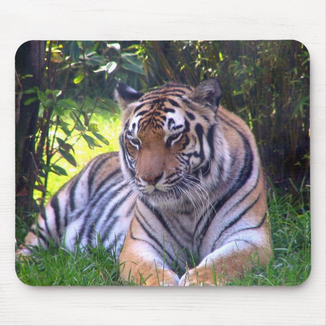 Mousepad Descanso do tigre (Frente)