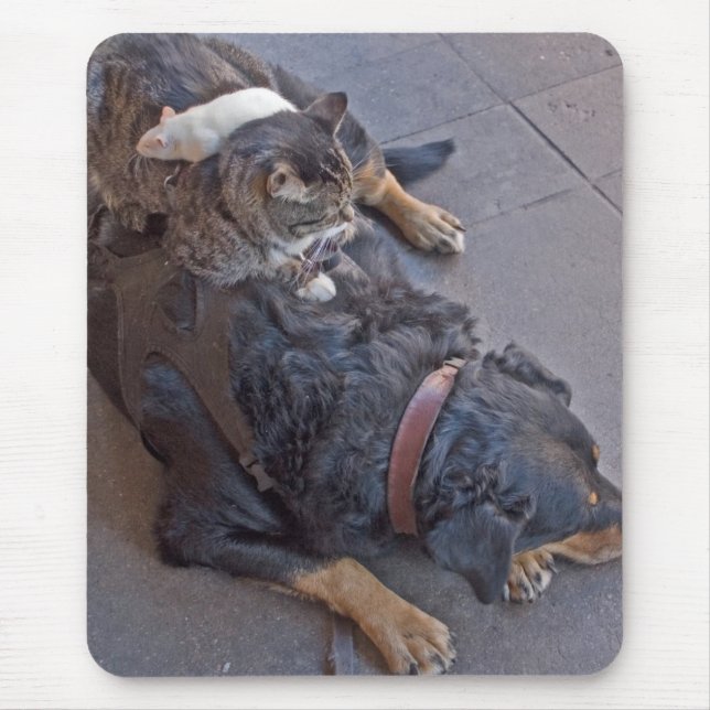 Mousepad Descanso fácil (Frente)