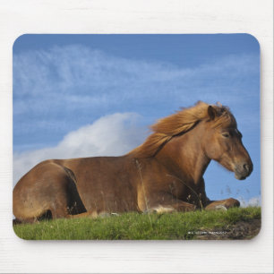 Mousepad Descanso islandês e céu do cavalo