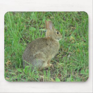 Mousepad Descanso selvagem do coelho