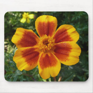 Mousepad Desco Marigold Orange e Red Summer Flower