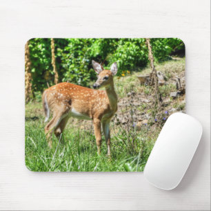 Mousepad Descoberto