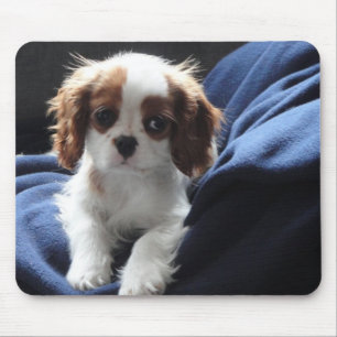 Mousepad descuidado do filhote de cachorro do rei