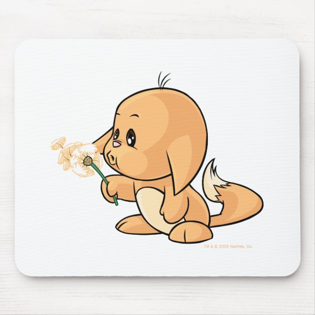 Mousepad Desejando Kacheek alaranjado (Frente)