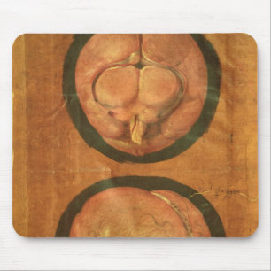 Mousepad Desenho anatômico do cérebro humano