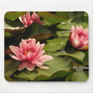 Mousepad Desenho Botânico Floral de Nenúfar Tropical
