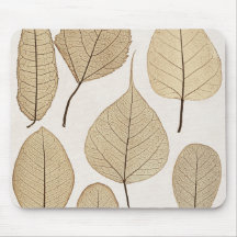 Desenho Botânico Naturalista Vintage | Folhas 1858