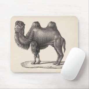 Mousepad Desenho de Brodtmann Camel