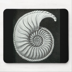 Mousepad Desenho de lápis bonito da amonite de Amaltheus