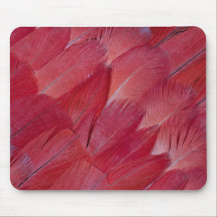 Mousepad Desenho de Pena de Papagaio Cinzento Africano