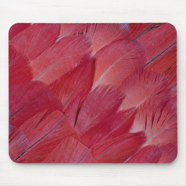 Mousepad Desenho de Pena de Papagaio Cinzento Africano (Frente)