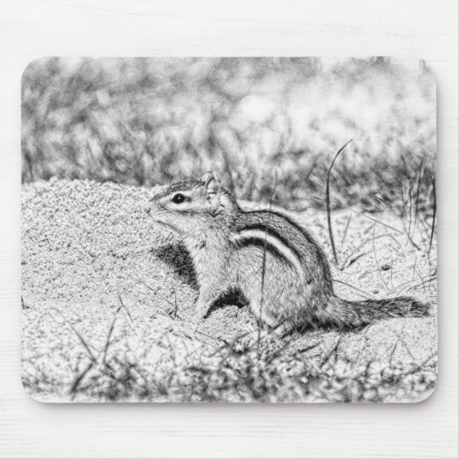 Mousepad Desenho do Chipmunk (Frente)