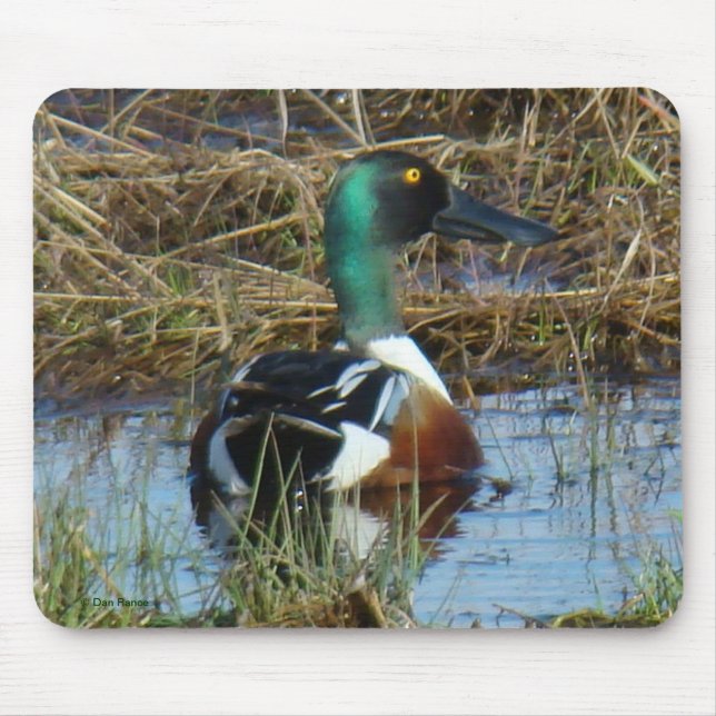 Mousepad Desenho do Norte B26 (Frente)