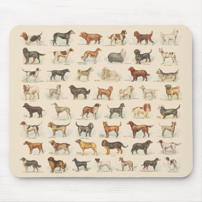 Mousepad Desenhos de Criação de Cachorros Vintage (Frente)