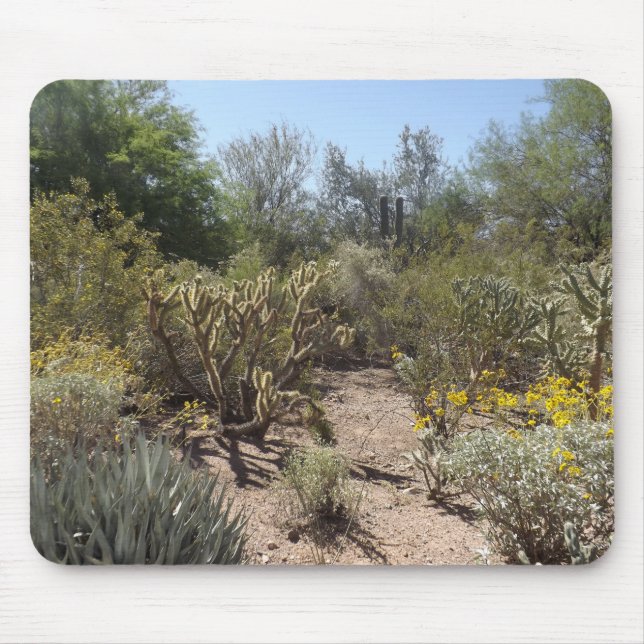 Mousepad Deserto (Frente)