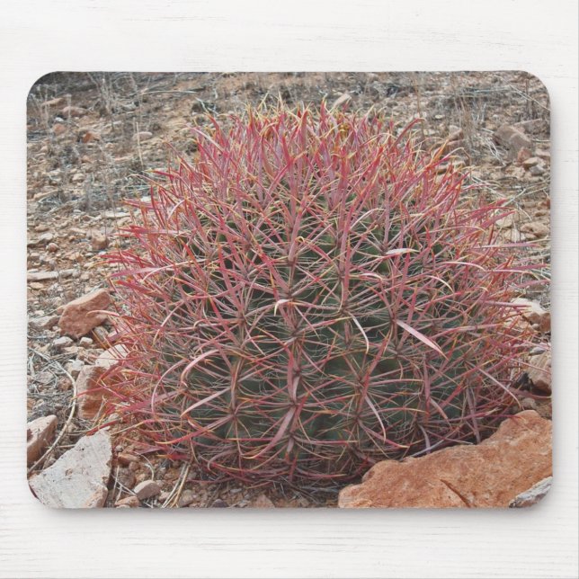 Mousepad Deserto da Arizona de Fotos do Cactus Vermelho Sud (Frente)