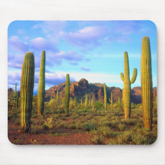 Mousepad Deserto na primavera (Frente)
