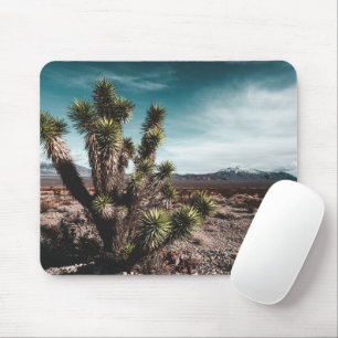 Mousepad Desertos   Cholla Cactus