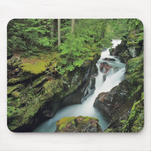 Mousepad Desfiladeiro Avalanche no Parque Nacional Glacier  (Frente)