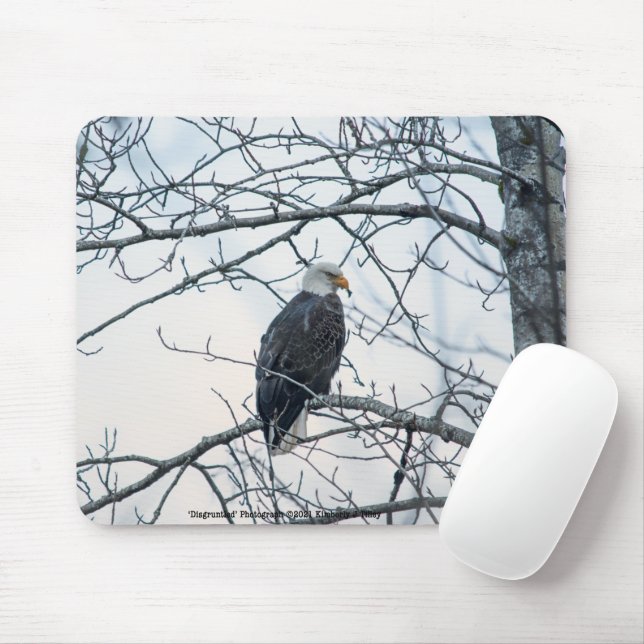 Mousepad Desgraçado (Com mouse)