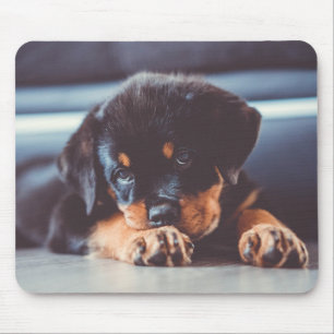 Mousepad Desidratação Adorável de Cão Cachorro