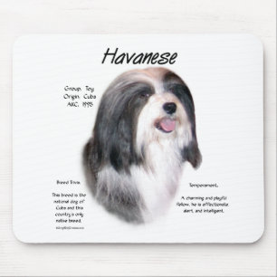 Mousepad Design da História do Havanês