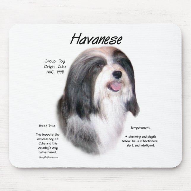 Mousepad Design da História do Havanês (Frente)
