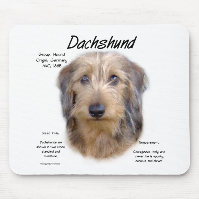 Mousepad Design de História do Dachshund (wirehair) (Frente)