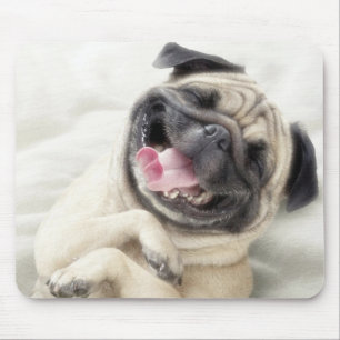 Mousepad Design de riso adorável do Pug