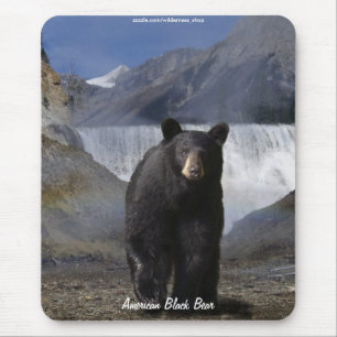 Mousepad Design de Ursos para Animais e Animais Selvagens