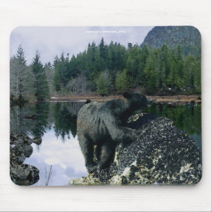 Mousepad Design de Ursos para Animais e Animais Selvagens