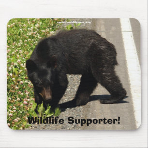 Mousepad Design de Ursos para Animais e Animais Selvagens