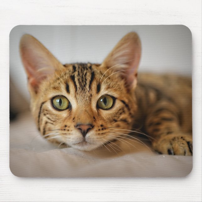 Mousepad Design - Gatinho Gato (Frente)