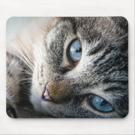 Mousepad Design - Gato Bonito