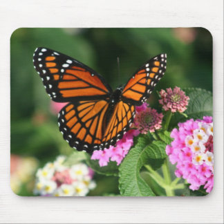 Mousepad Design lindo da borboleta de monarca