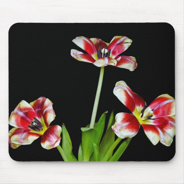 Mousepad Deslizado (Frente)