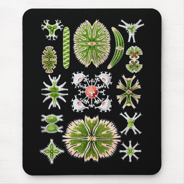 Mousepad Desmids (Frente)