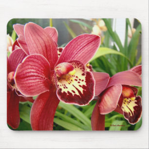 Mousepad Destaques da orquídea