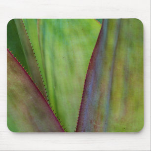 Mousepad Detalhe da Planta Agave