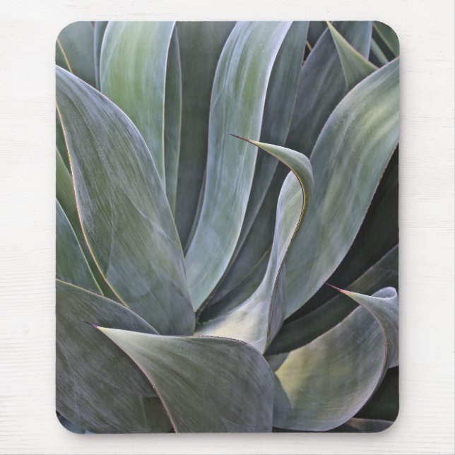 Mousepad Detalhe desvanecido de Succulant, 2017 (Frente)
