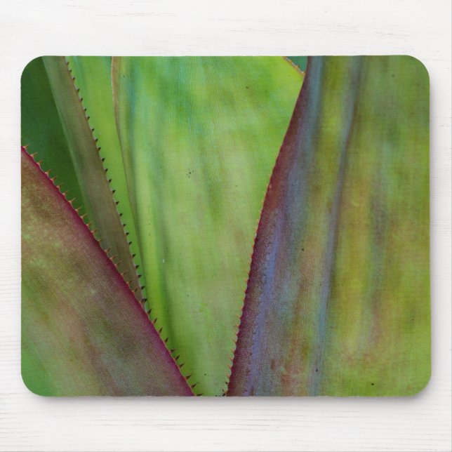 Mousepad Detalhes da Planta Agave (Frente)
