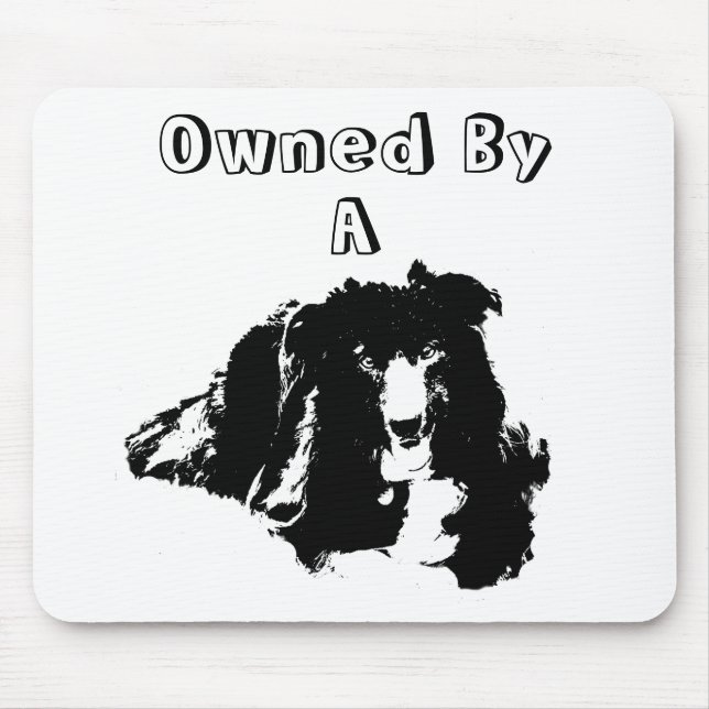 Mousepad Detida Por Um Cão Engraçado Da Fronteira Collie (Frente)