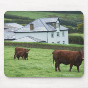 Mousepad Devon, Inglaterra