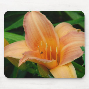 Mousepad Dia 2