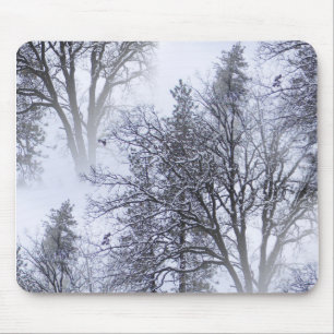 Mousepad Dia de neve nas árvores...