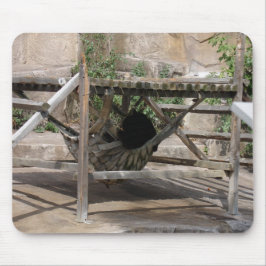 Mousepad dia preguiçoso para um urso